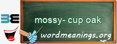 WordMeaning blackboard for mossy-cup oak
